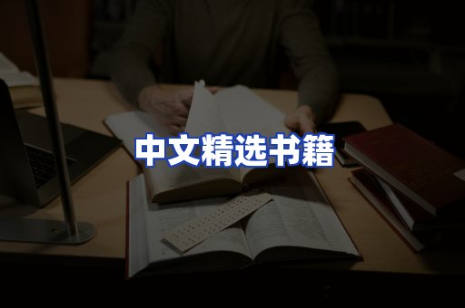 中文精选书籍